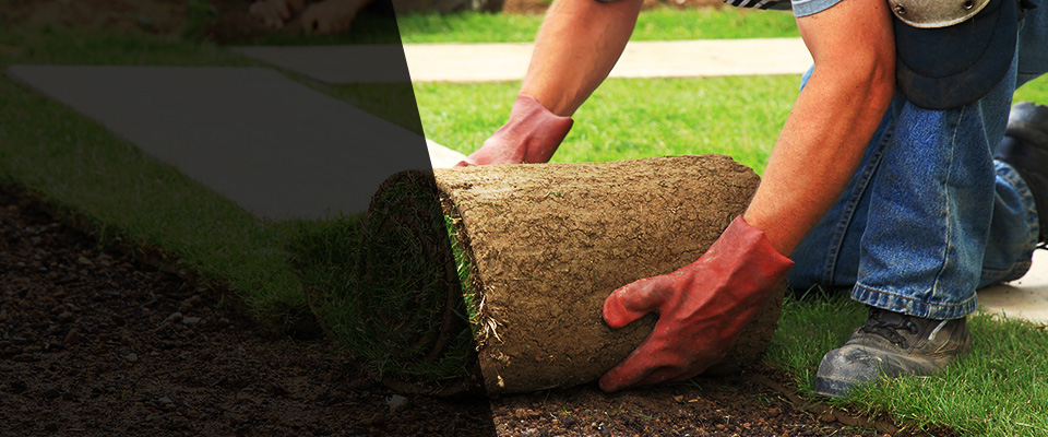 Gravois Mills Landscapers